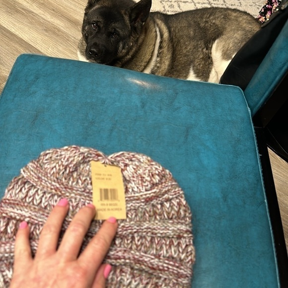 NWT CC  beanie exclusives color number 20 gray, white, red - Picture 2 of 2